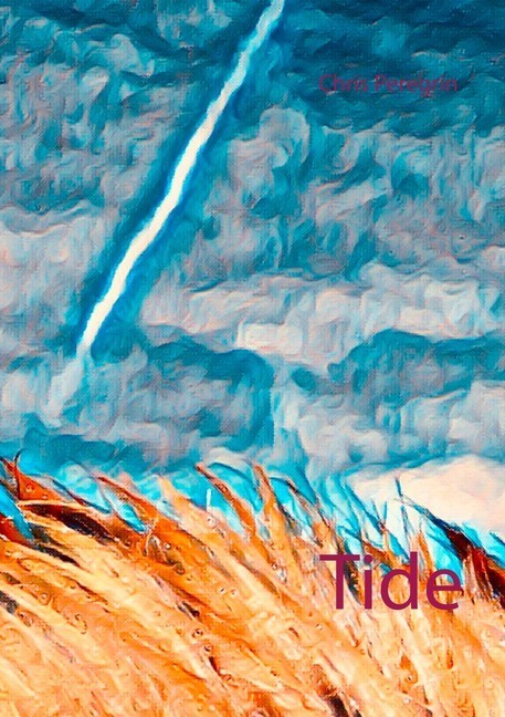 Tide main product photo