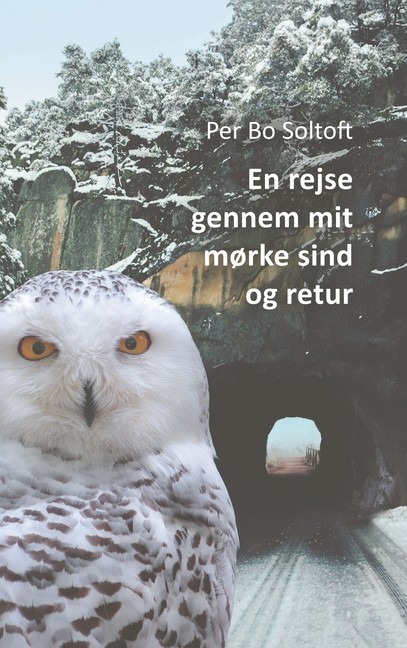 En rejse gennem mit mørke sind og retur main product photo