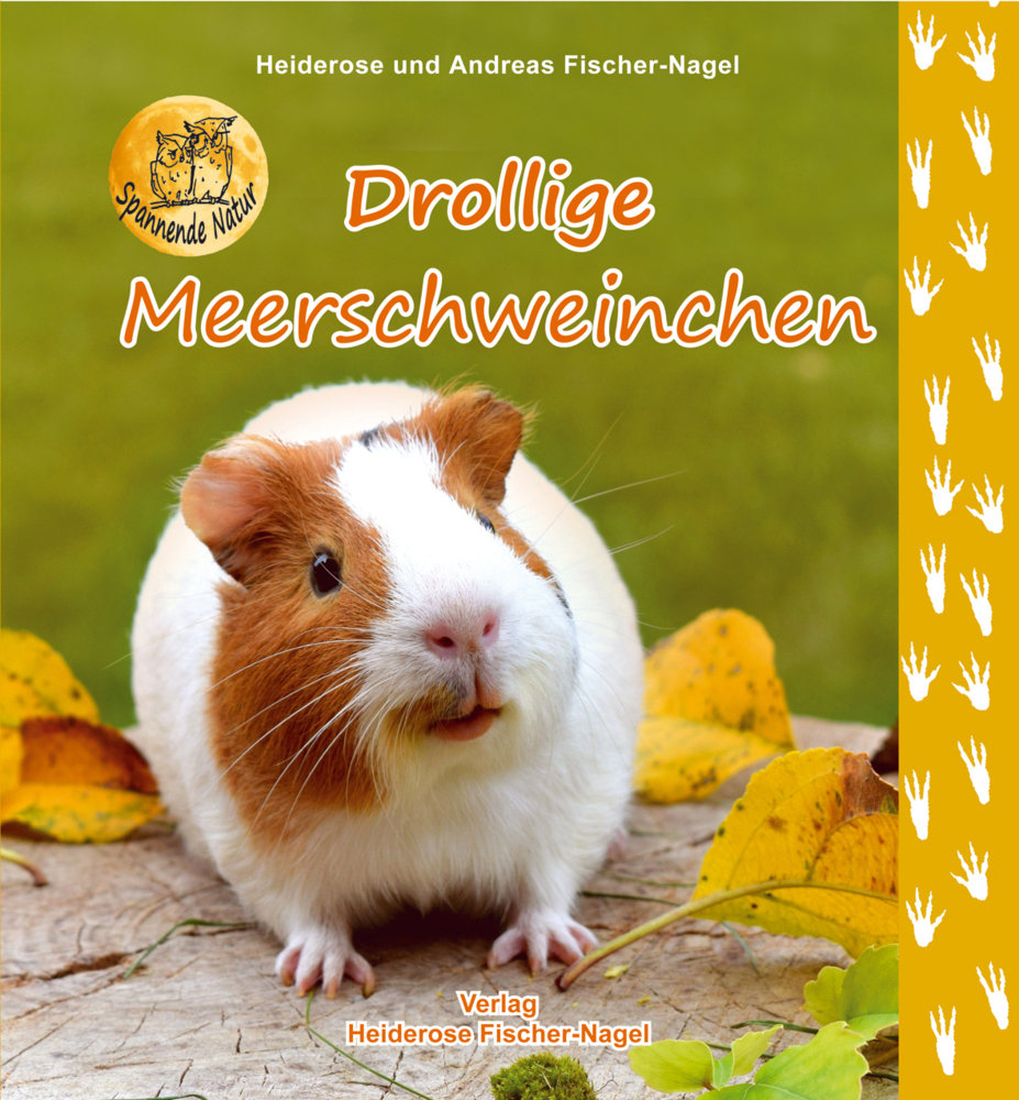 Drollige Meerschweinchen main product photo
