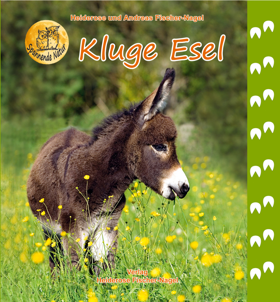 Kluge Esel main product photo