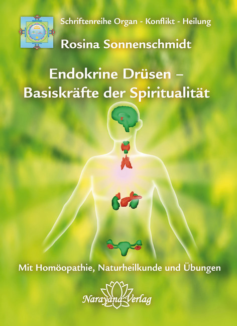 Endokrine Drüsen - Basiskräfte der Spiritualität main product photo