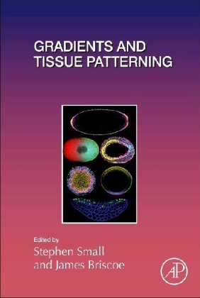 Gradients and Tissue Patterning