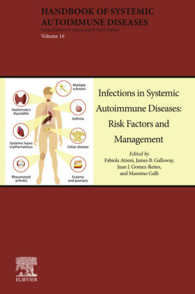 Infections in Systemic Autoimmune Diseases: Risk Factors and Management