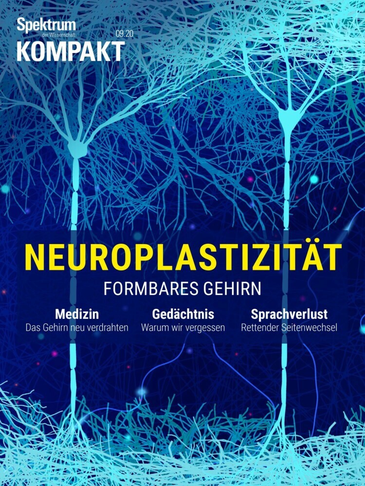 Spektrum Kompakt - Neuroplastizität main product photo