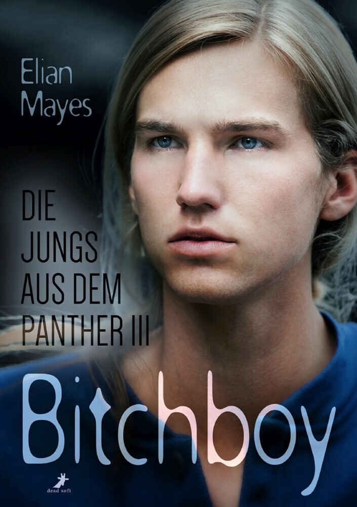 Die Jungs aus dem Panther 3: Bitchboy main product photo