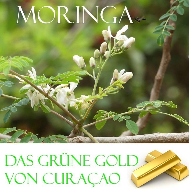 Das grüne Gold von Curacao main product photo
