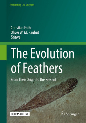 The Evolution of Feathers