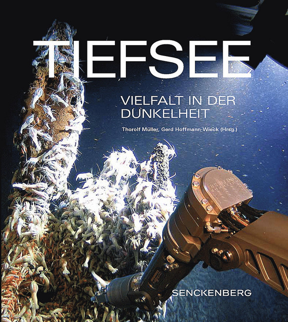 Tiefsee main product photo