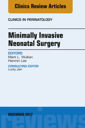 Minimally Invasive Neonatal Surgery, An Issue of Clinics in Perinatology, E-Book