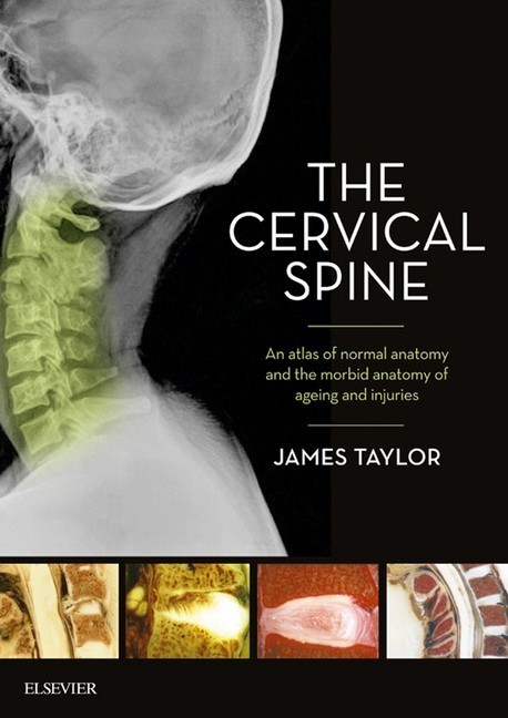 The Cervical Spine main product photo