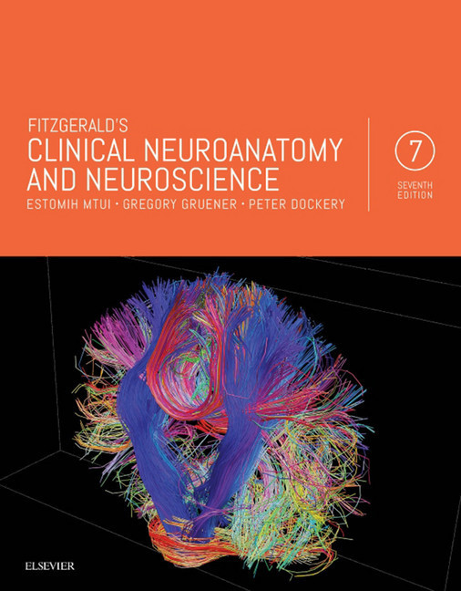 Fitzgerald's Clinical Neuroanatomy and Neuroscience E-Book main product photo