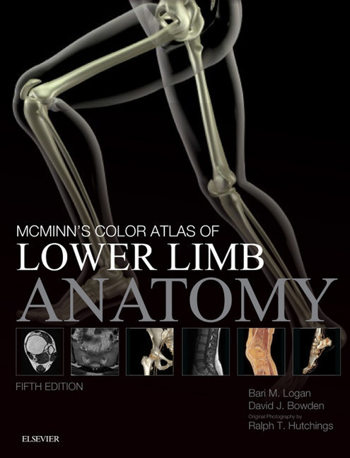 McMinn's Color Atlas of Lower Limb Anatomy E-Book main product photo