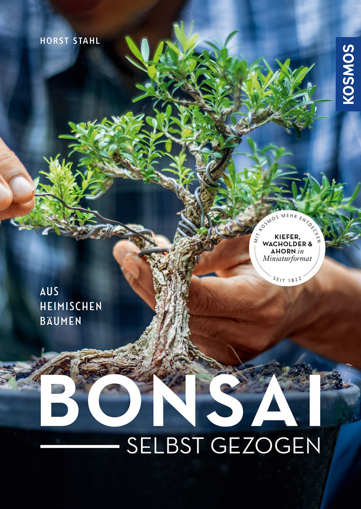 Bonsai - selbst gezogen main product photo