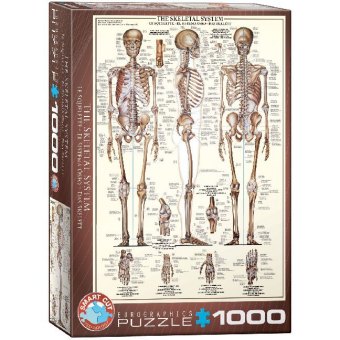 Das Skelett (Puzzle)