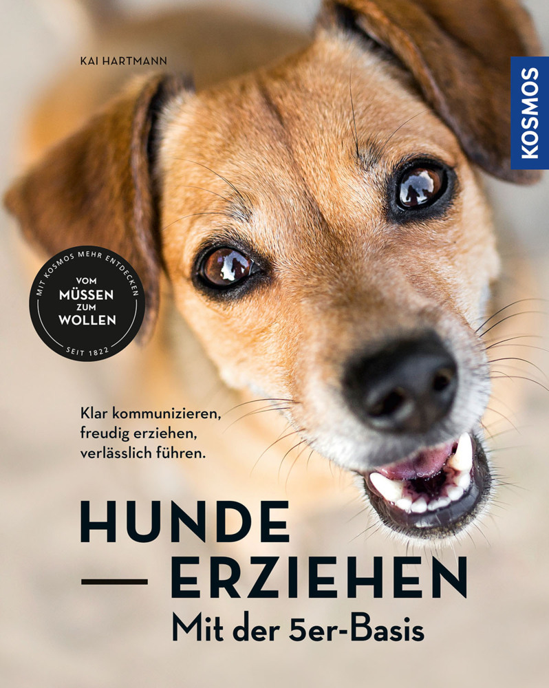 Hunde erziehen - mit der 5er-Basis main product photo