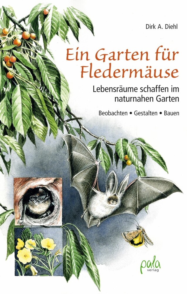 Ein Garten für Fledermäuse main product photo
