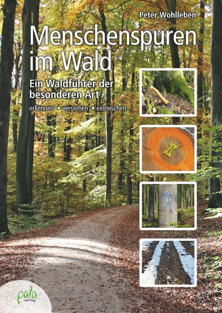 Menschenspuren im Wald main product photo