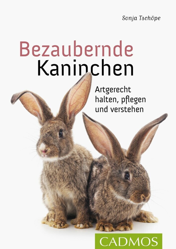 Bezaubernde Kaninchen main product photo
