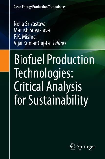 Biofuel Production Technologies: Critical Analysis for Sustainability main product photo