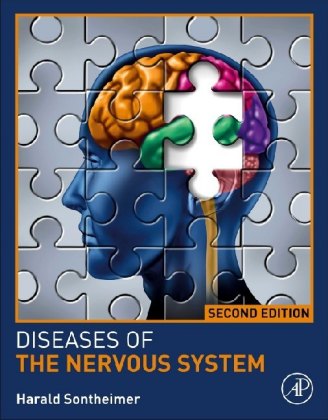 Insulin Resistance as a Risk Factor in Visceral and Neurological Disorders