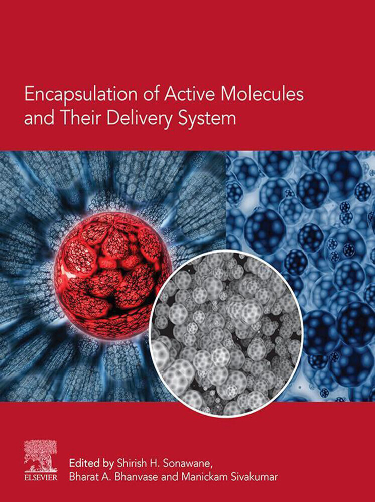 Encapsulation of Active Molecules and Their Delivery System main product photo