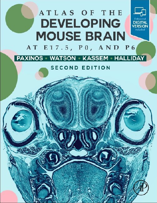 Atlas of the Developing Mouse Brain main product photo