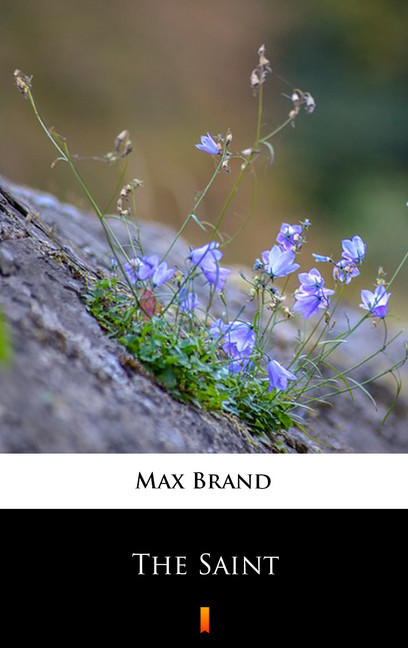 The Saint main product photo