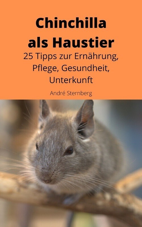 Chinchilla als Haustier main product photo