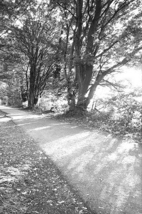 Claudine S. -Ein langer Weg-