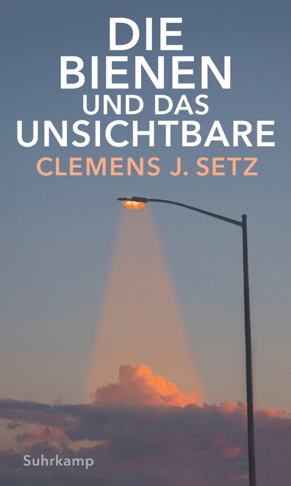 Die Bienen und das Unsichtbare main product photo
