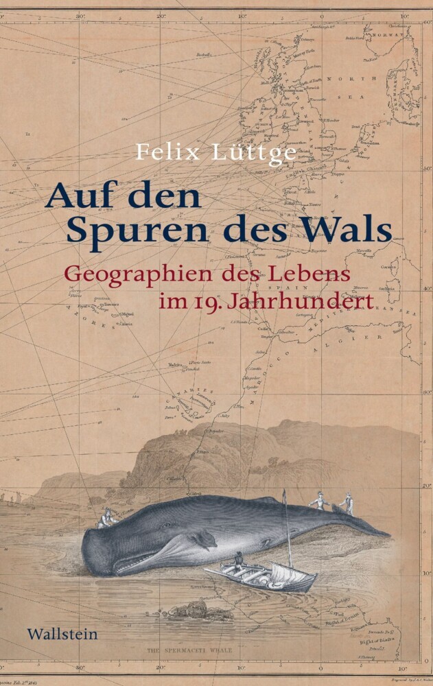 Auf den Spuren des Wals main product photo