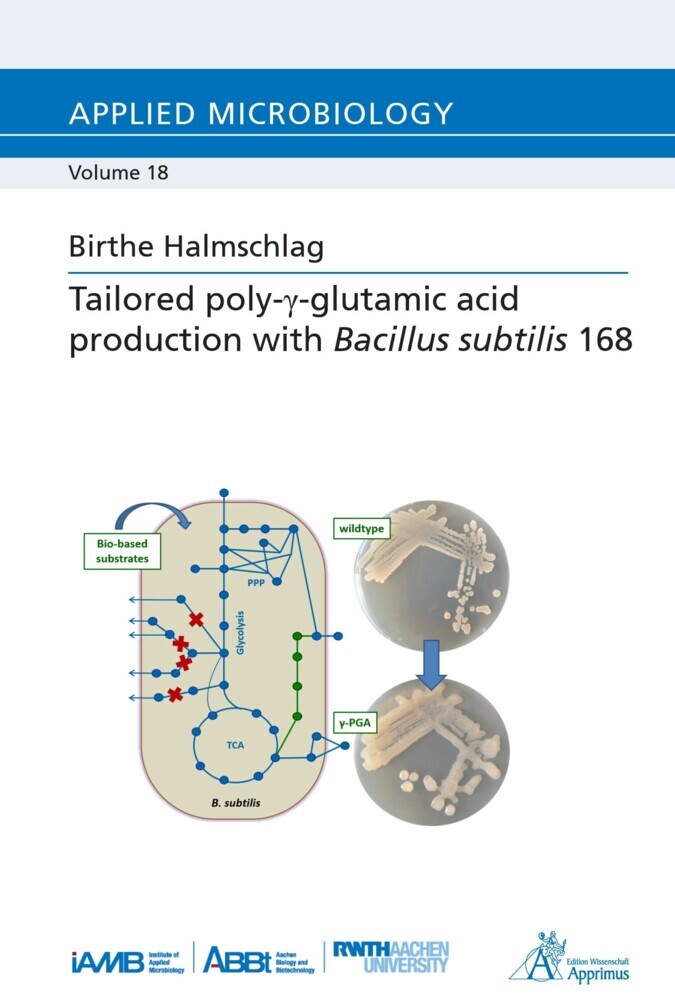 Tailored poly-?-glutamic acid production with Bacillus subtilis 168 main product photo