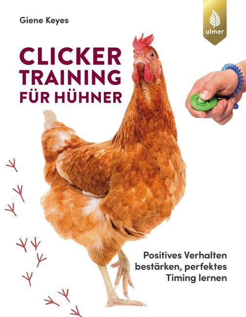 Clickertraining für Hühner main product photo
