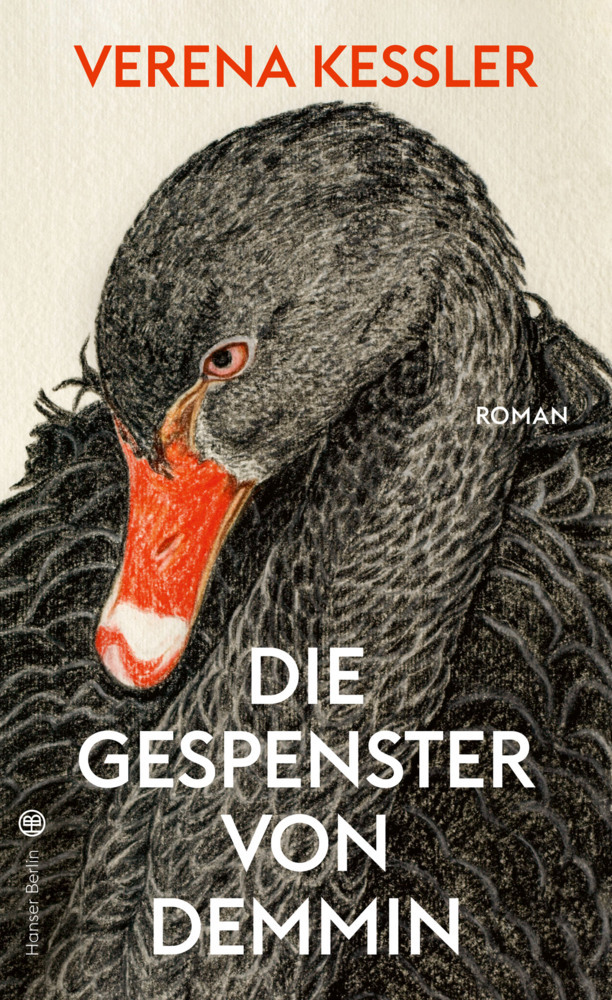 Die Gespenster von Demmin main product photo