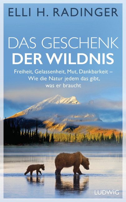 Das Geschenk der Wildnis main product photo