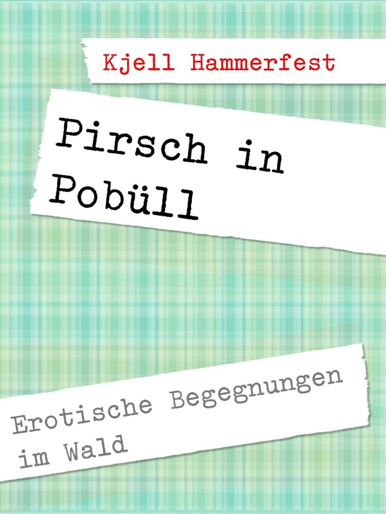 Pirsch in Pobüll main product photo