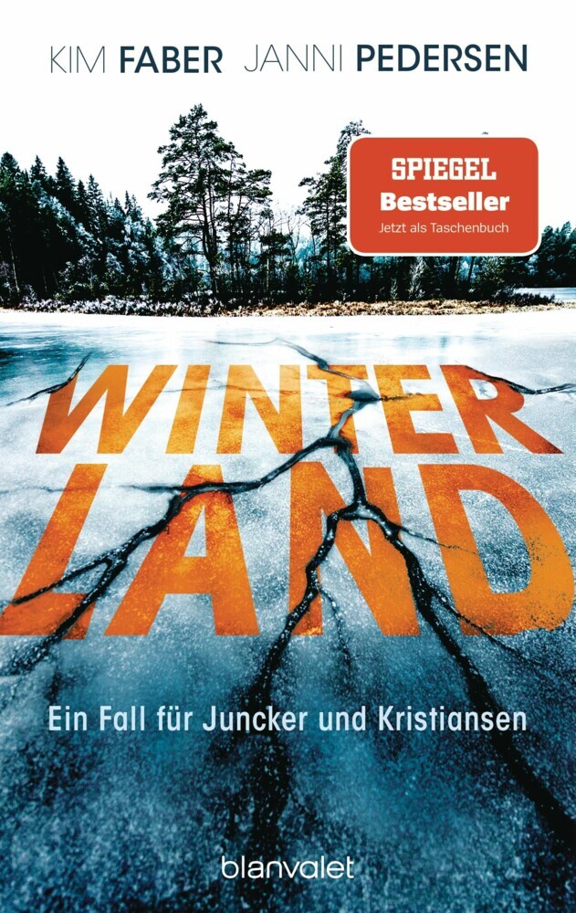 Winterland main product photo