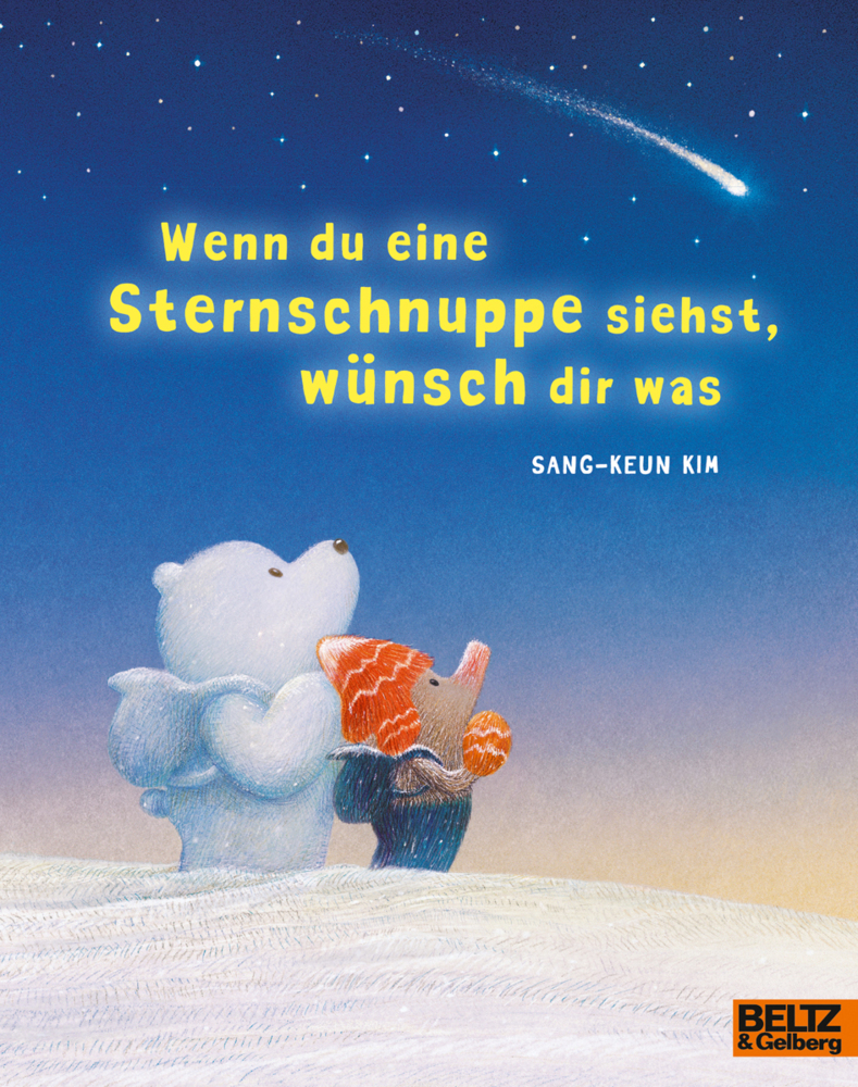 Wenn du eine Sternschnuppe siehst, wünsch dir was main product photo