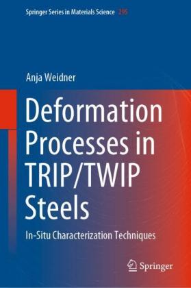 Deformation Processes in TRIP/TWIP Steels