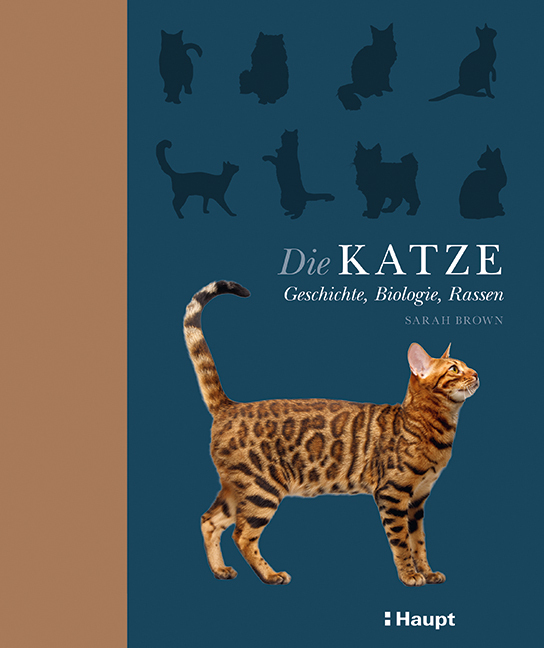 Die Katze main product photo