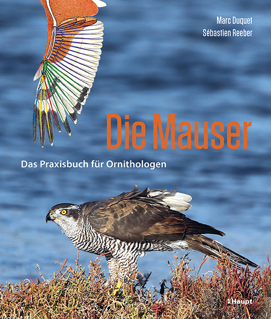 Die Mauser main product photo