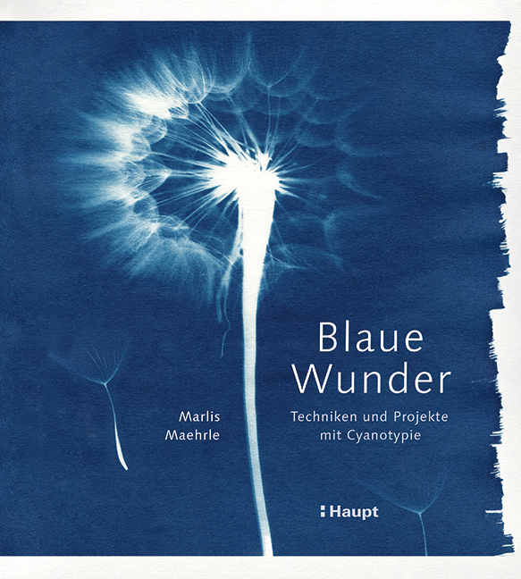 Blaue Wunder - Techniken und Projekte mit Cyanotypie main product photo