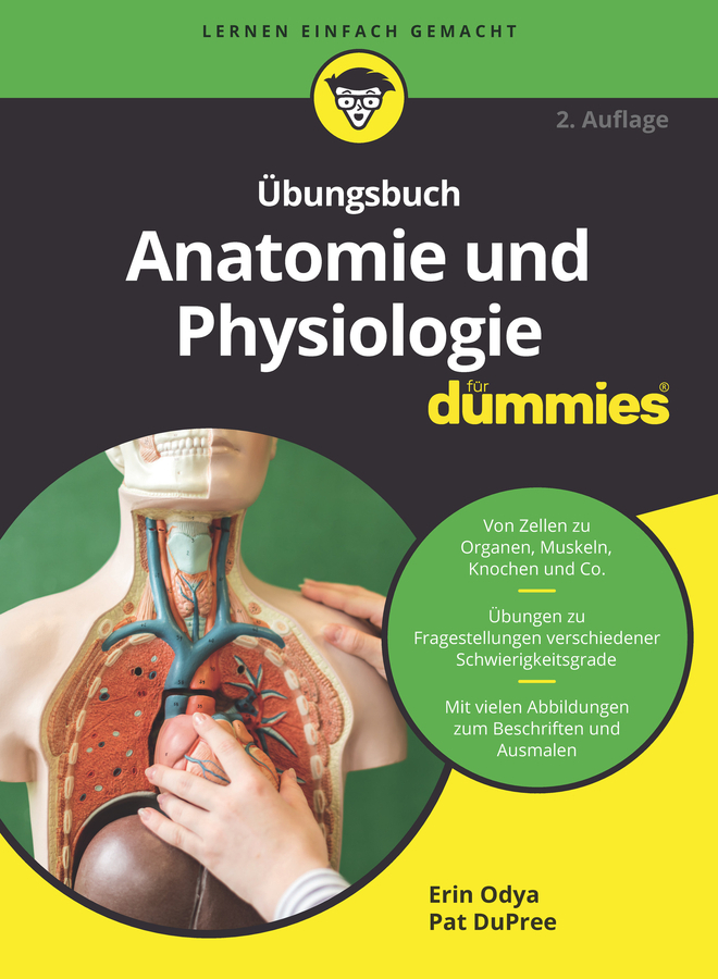 Übungsbuch Anatomie und Physiologie für Dummies main product photo