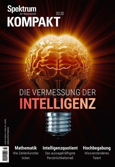 Die Vermessung der Intelligenz main product photo