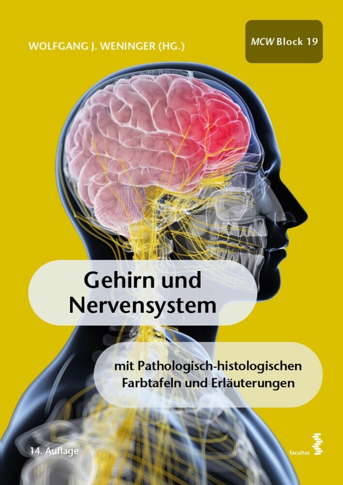 Gehirn und Nervensystem main product photo