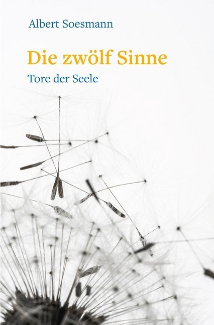 Die zwölf Sinne - Tore der Seele main product photo