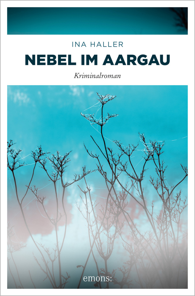 Nebel im Aargau main product photo