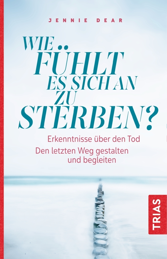 Wie fühlt es sich an zu sterben? main product photo