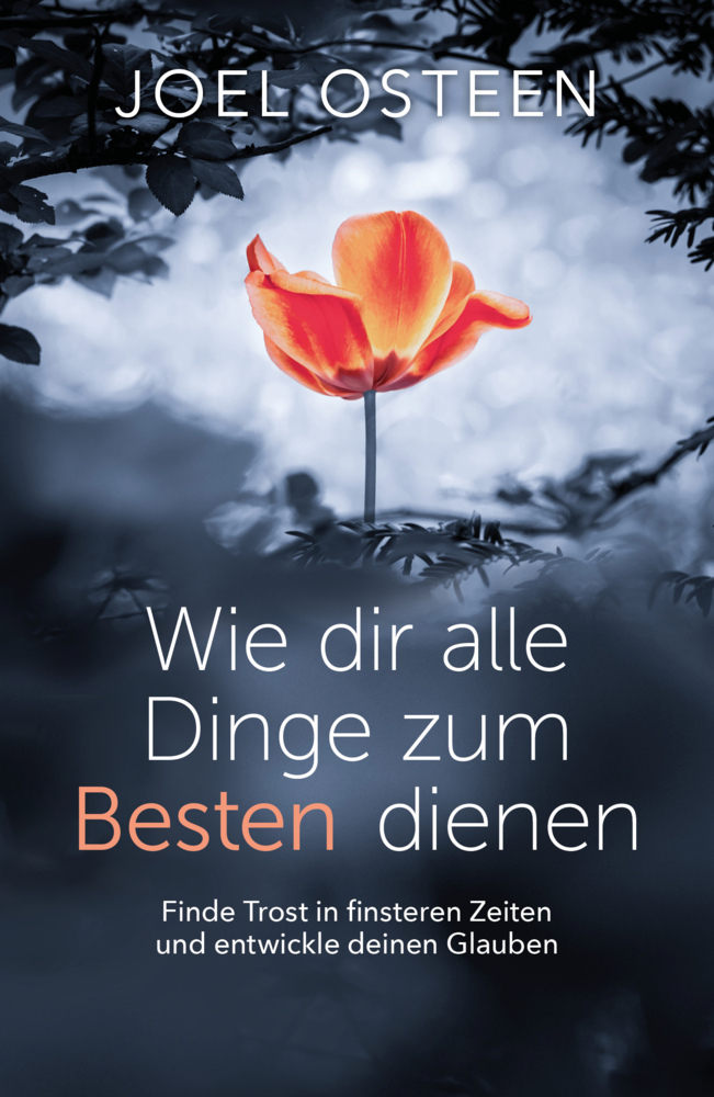 Wie dir alle Dinge zum Besten dienen main product photo