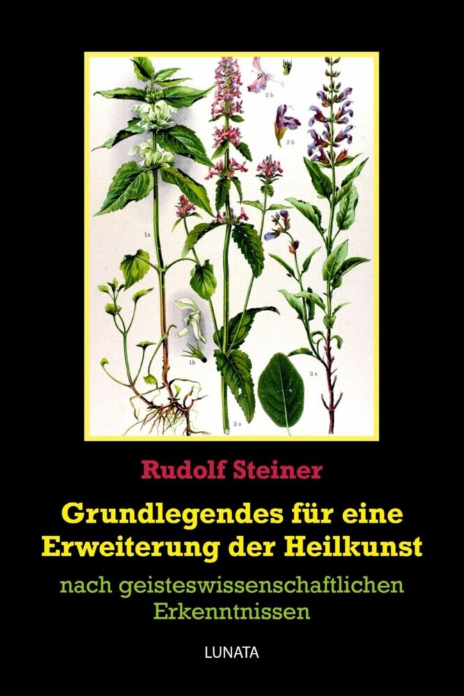 Grundlegendes zur Erweiterung der Heilkunst main product photo